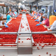Can Dynamic Health Assessment Prevent Critical Equipment Failures?