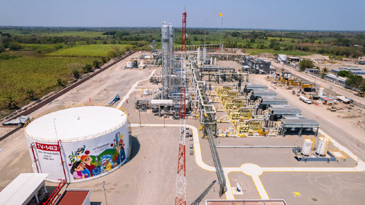 Fixed Gas Detector or Transmitter – Which Protects Your Plant Better?